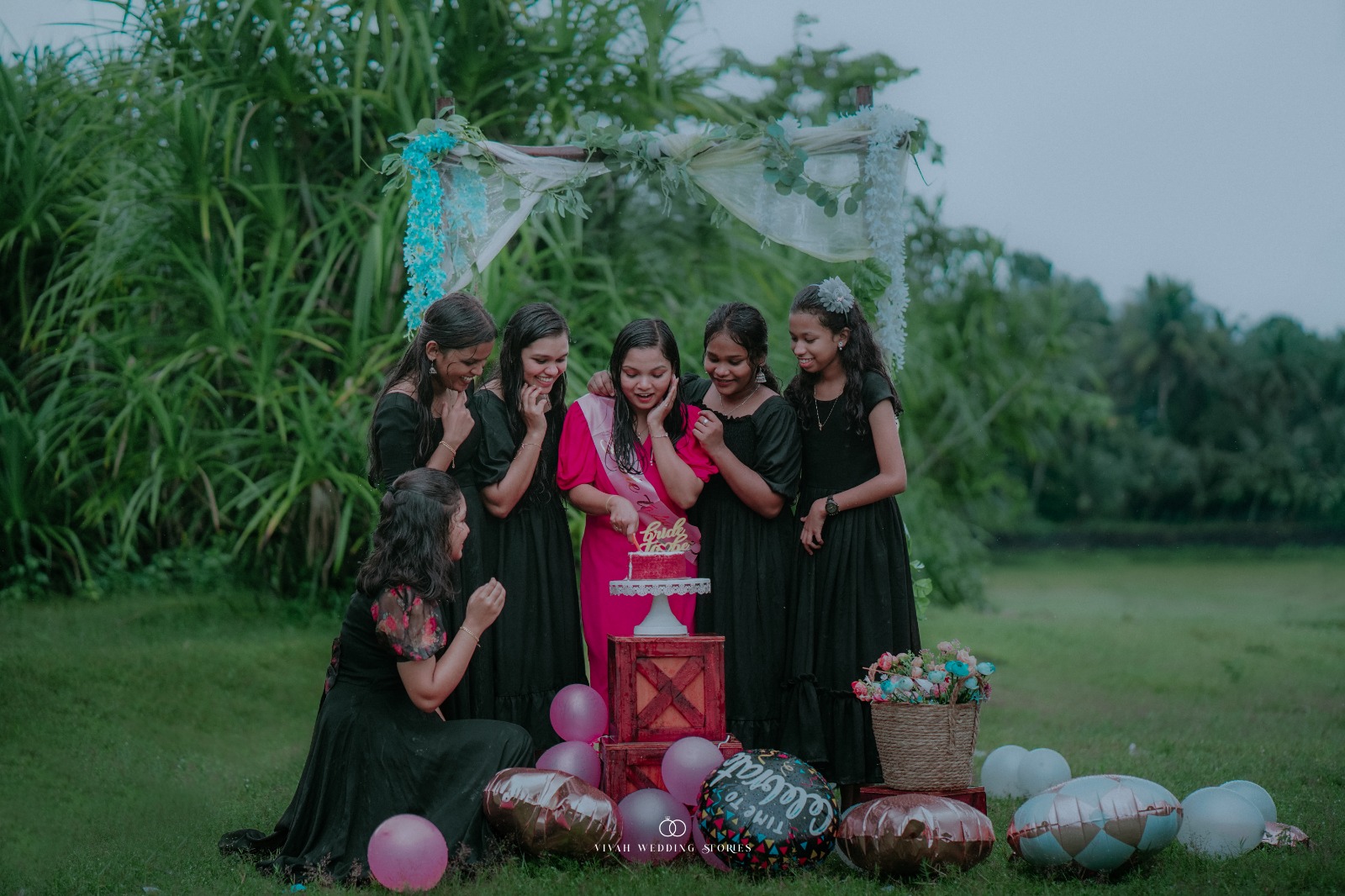 a forest after an apocalypse